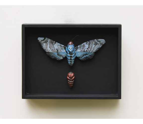 "Death Head Moth #3" - Loralin Toney